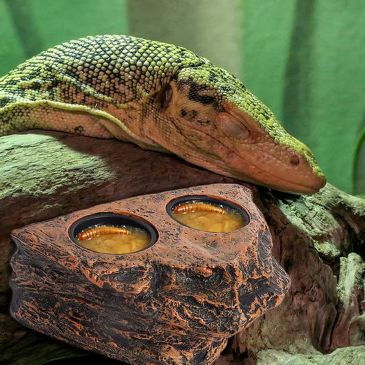 Reptile Food Dish 2 Cups Rock Lizard Water Bowl Aquarium Decoration Small Turtle Habitat Animal Feeding Table Feeder Tray