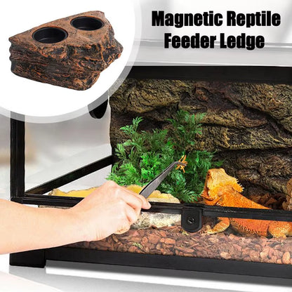 Reptile Food Dish 2 Cups Rock Lizard Water Bowl Aquarium Decoration Small Turtle Habitat Animal Feeding Table Feeder Tray