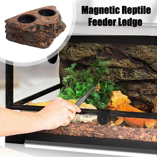 Reptile Food Dish 2 Cups Rock Lizard Water Bowl Aquarium Decoration Small Turtle Habitat Animal Feeding Table Feeder Tray